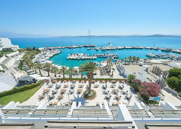 Altin Yunus & - Çeşme