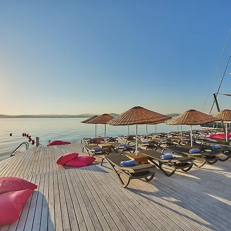 Altin Yunus & - Çeşme
